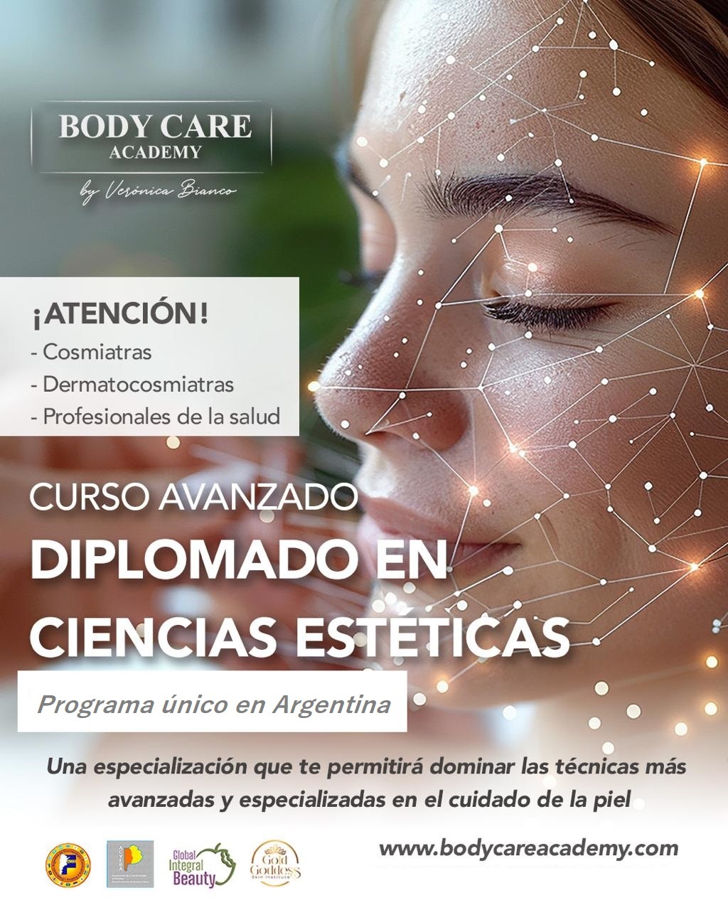 Diplomado en Ciencias Estéticas
