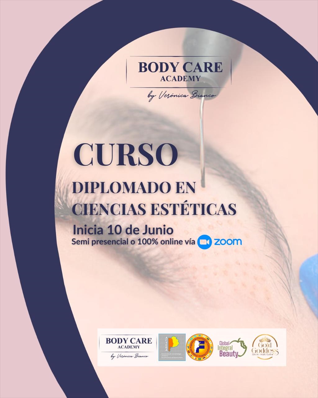 DIPLOMADO EN CIENCIAS ESTÉTICA PLACA